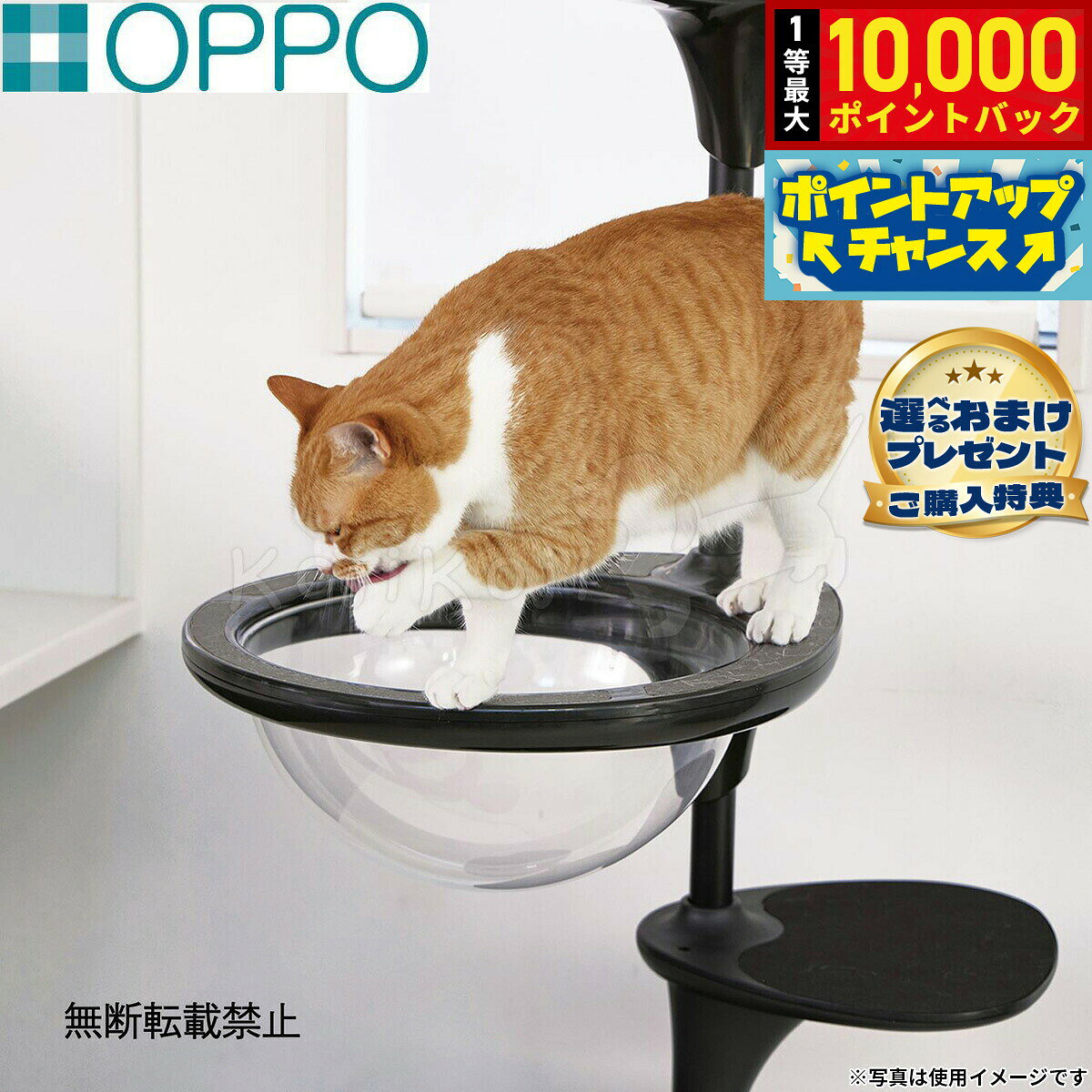 楽天市場】oppo cat forestの通販