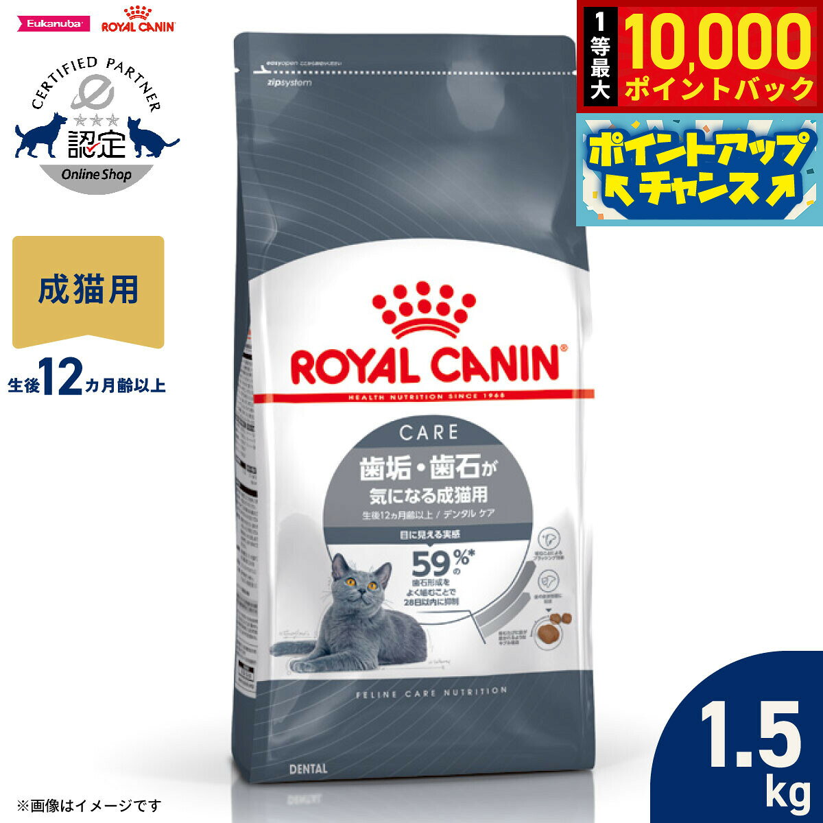 rycn953702.jpg