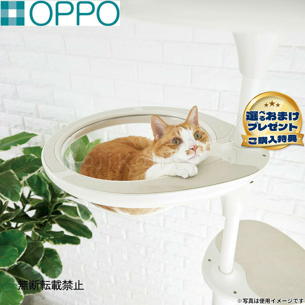 楽天市場】キャットタワー oppoの通販