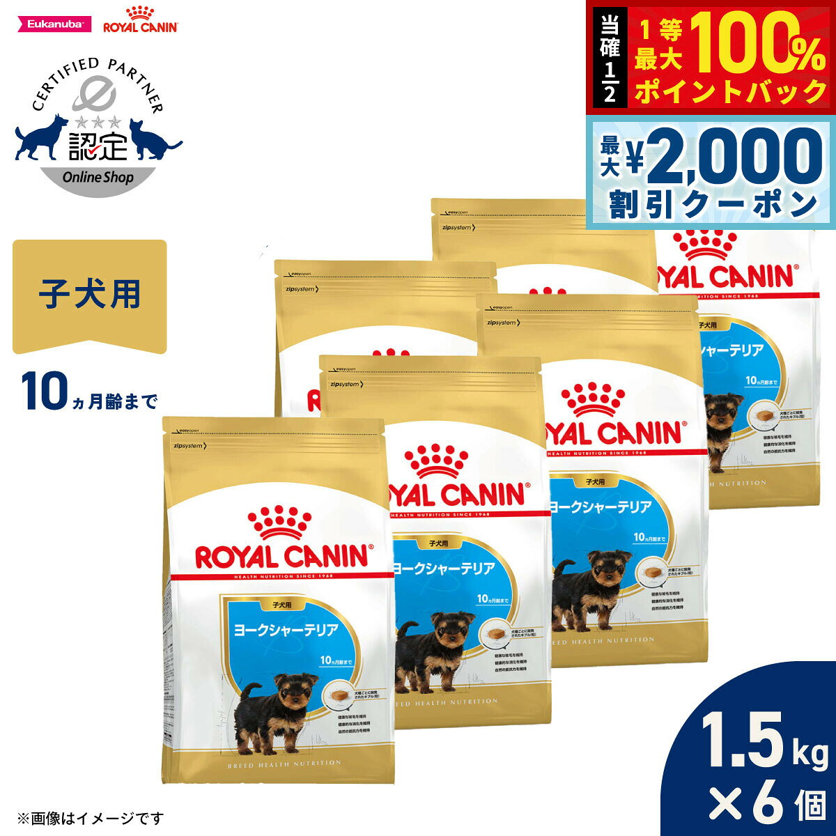 【店内ポイント最大41倍！本日限定！】ロイヤルカナン 犬 ドッグフード ブリードヘルスニュートリション シーズー専用フード 子犬用 1.5kg×6個 正規品