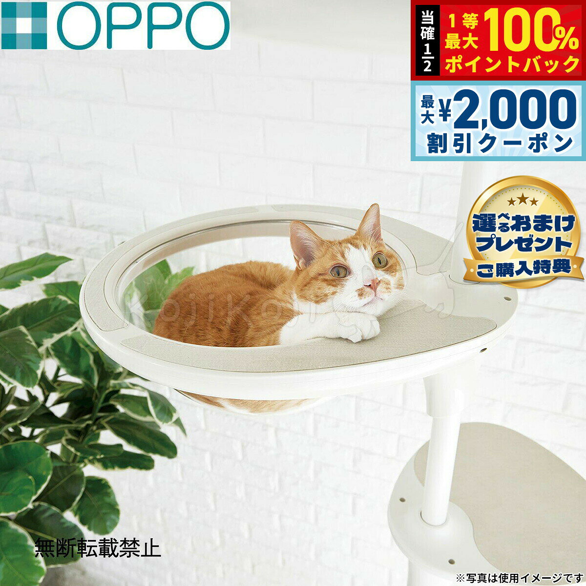 楽天市場】キャットタワー oppoの通販