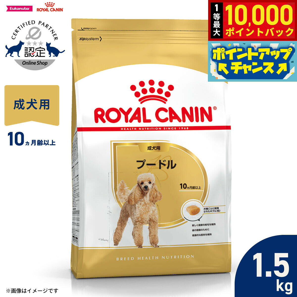ロイヤルカナン ブリード ヘルス ニュートリション プードル 成犬用(1.5kg)【d_rc】【d_rc15point】【ロイヤルカナン(ROYAL CANIN)】[ドッグフード]