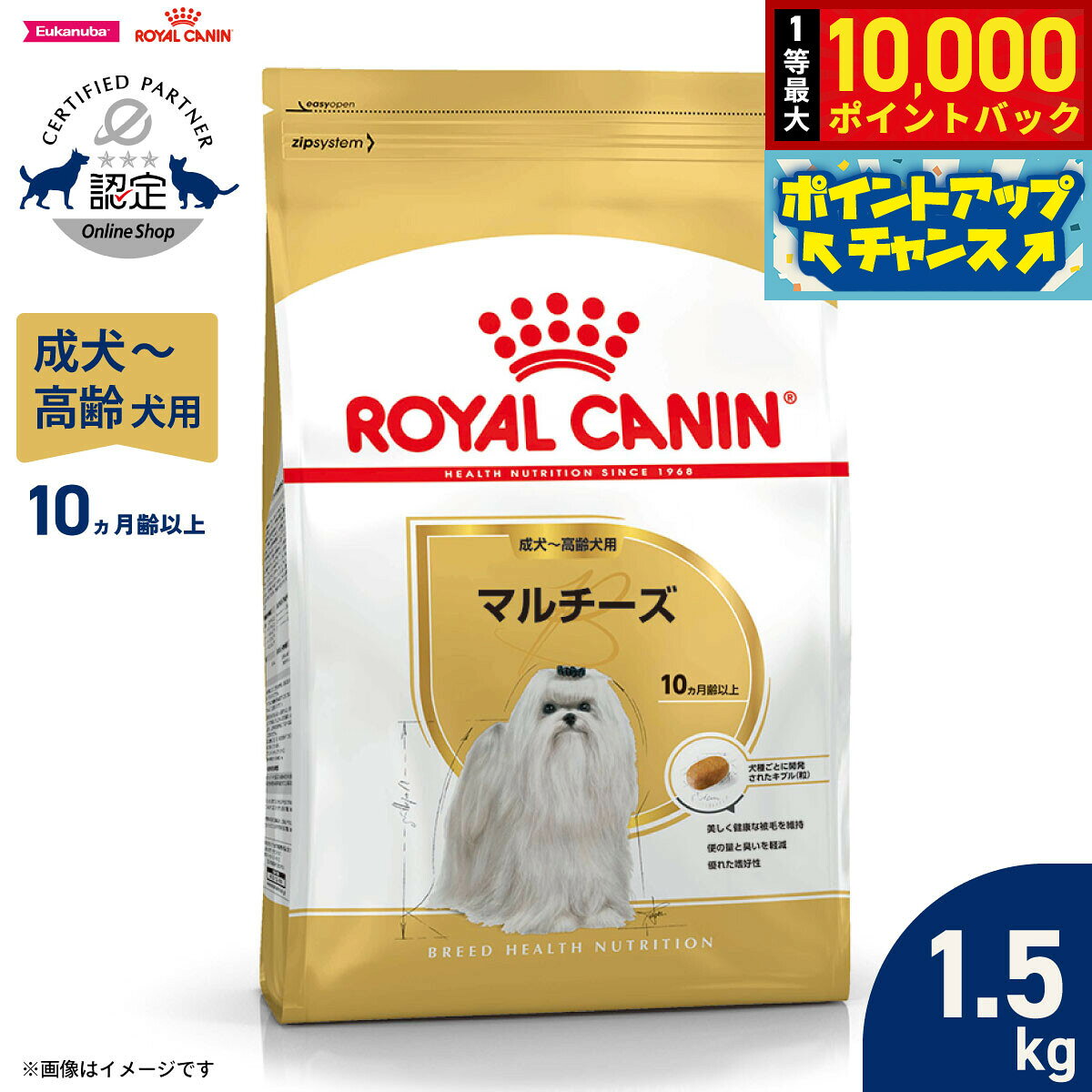 【店内ポイント最大41倍！10月20日！】ロイヤルカナン 犬 ドッグフード ブリードヘルスニュートリション マルチーズ専用フード 成犬〜高齢犬用 1.5kg 正規品