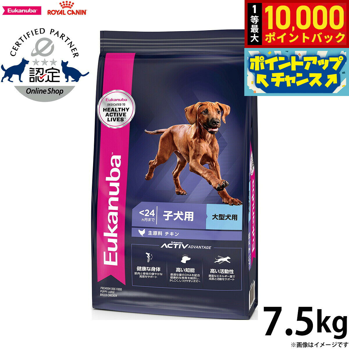 楽天市場】ユーカヌバ ラージ パピー 15kgの通販