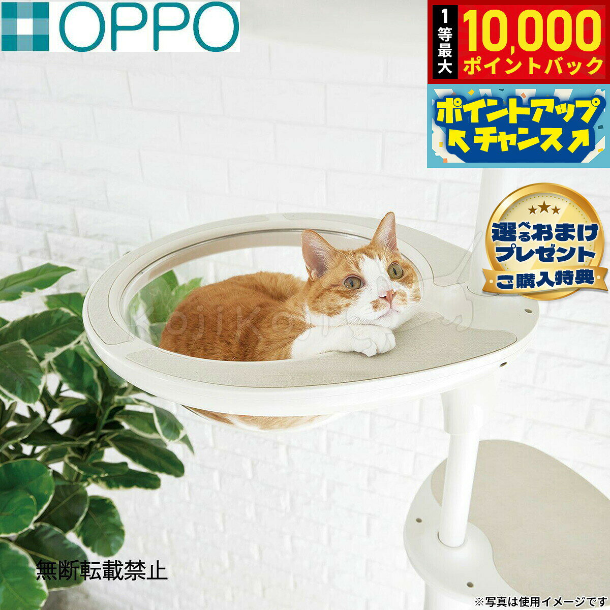 楽天市場】oppo cat forestの通販