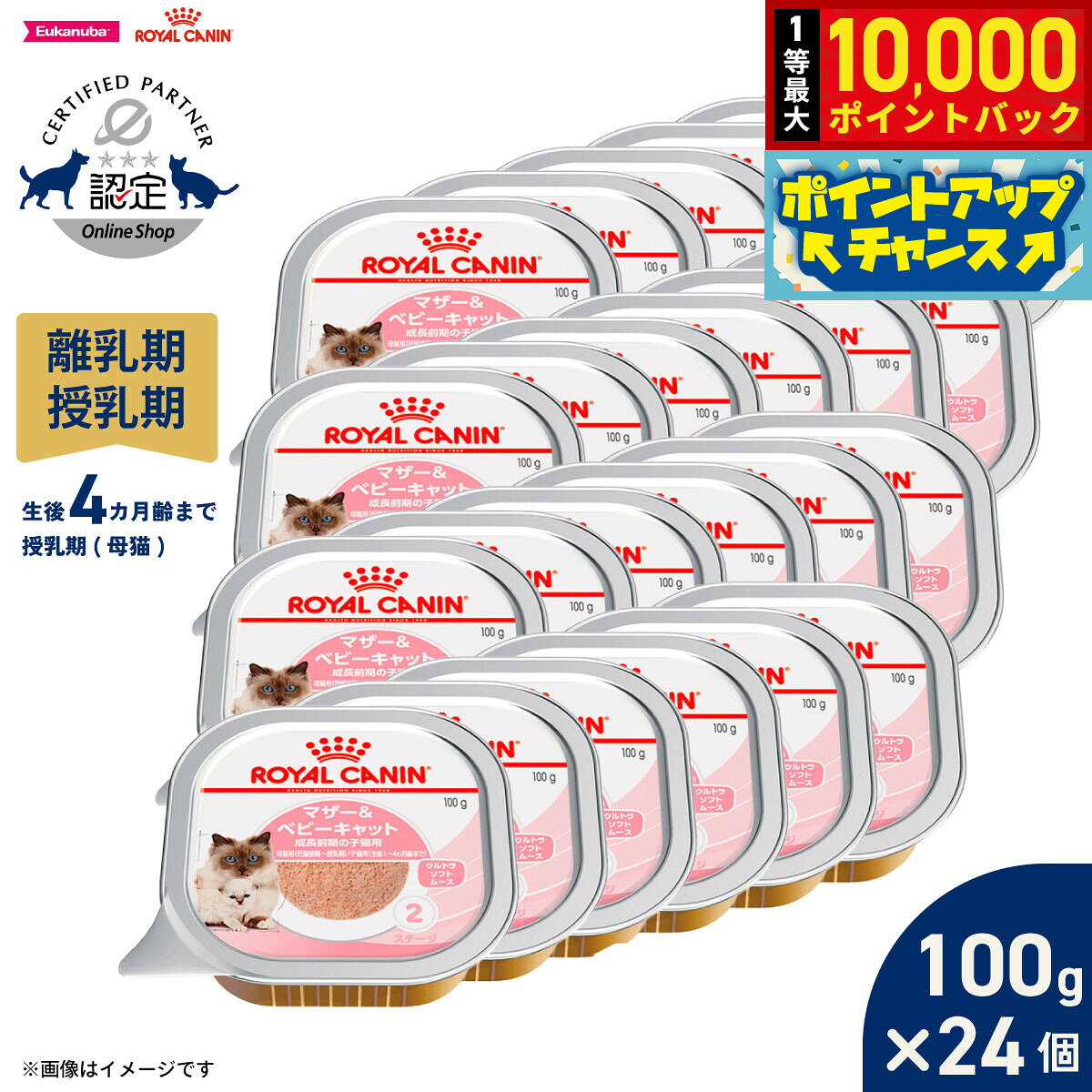【10/20限定！抽選で最大1万ポイントバック＆ポイントUP】ロイヤルカナン 猫 キャットフード ウェットフード マザー＆ベビーキャット 100g×24個 正規品 離乳期の子猫用フード 離乳期〜生後4カ月齢まで 母猫用 授乳期
