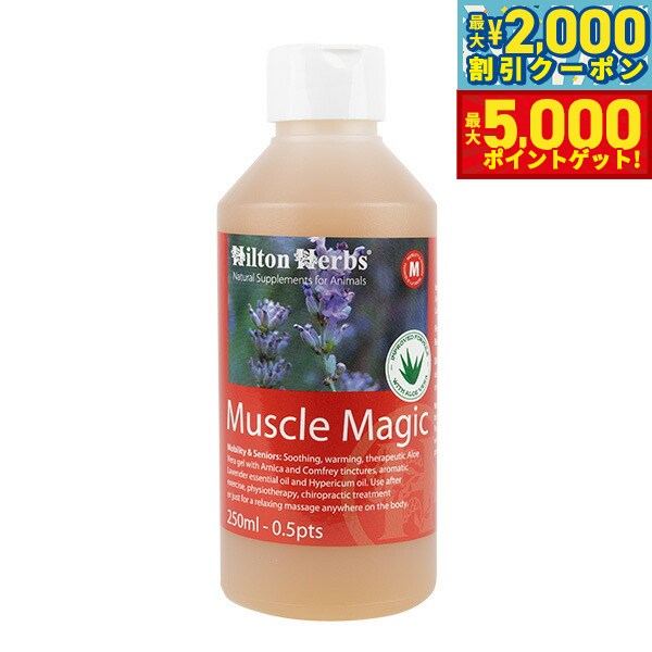 【最大2000円OFFクーポン＆ポイントさらに+5倍】ヒルトンハーブ フィトソルブ 200ml