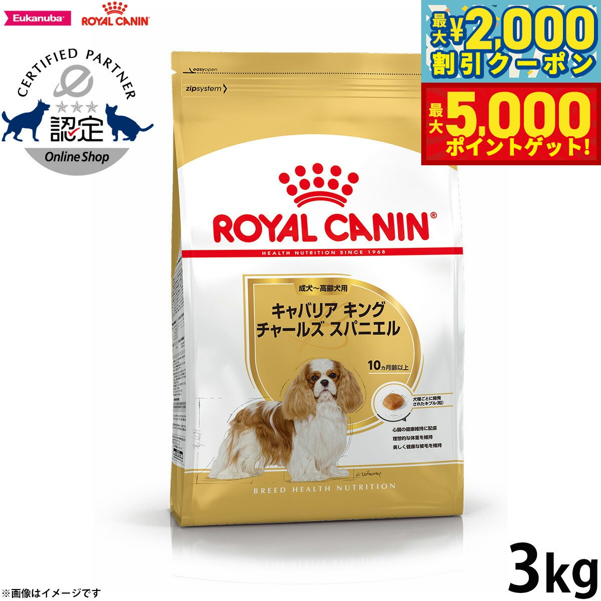 【最大2000円OFFクーポン＆ポイントさらに+5倍】ロイヤルカナン 犬 ドッグフード ブリードヘルスニュートリション キャバリア キング チャールズ専用フード 成犬〜高齢犬用 3kg 正規品