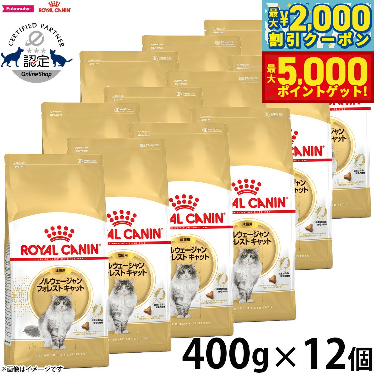 【最大2000円OFFクーポン＆ポイントさらに+5倍】ロイヤルカナン キャットフード ノルウェージャン フォレストキャット 成猫用 400g×12袋 正規品 猫用品/ねこグッズ/ペットグッズ/ペット用品