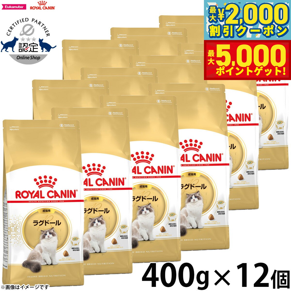 【最大2000円OFFクーポン＆ポイントさらに+5倍】ロイヤルカナン キャットフード ラグドール 成猫用 400g×12袋 正規品 猫用品/ねこグッズ/ペットグッズ/ペット用品 送料無料