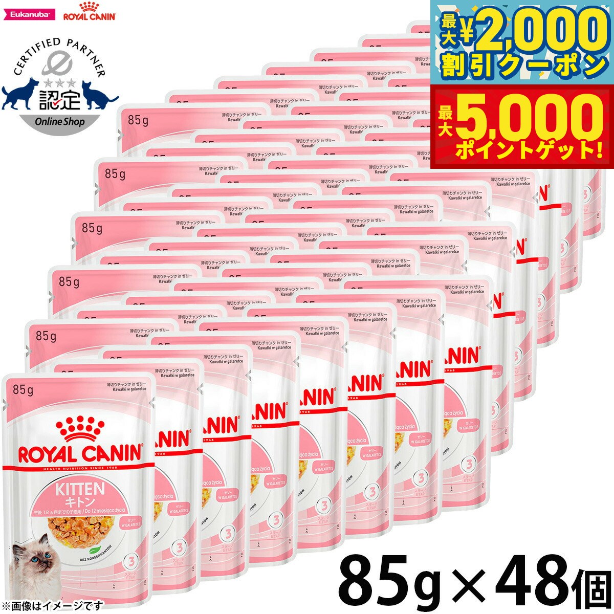【最大2000円OFFクーポン＆ポイントさらに+5倍】ロイヤルカナン 猫 キャットフード フィーラインヘルスニュートリション ウェットフード キトン ゼリー 85g×48個 正規品 猫専用ウェットフード 子猫用