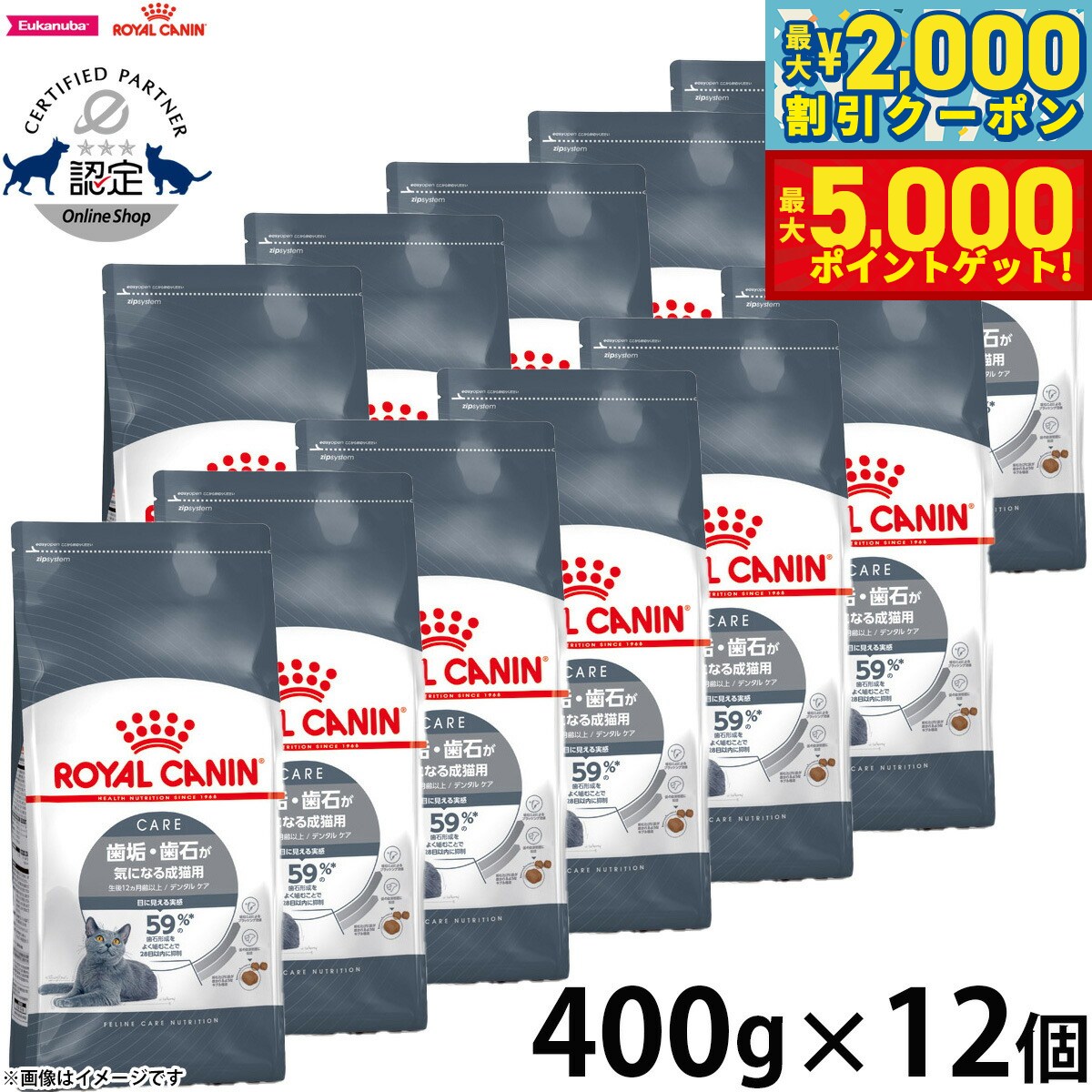 【最大2000円OFFクーポン＆ポイントさらに+5倍】ロイヤルカナン キャットフード フィーライン ケア ニュートリション デンタルケア 歯垢 歯石が気になる成猫用 400g×12袋