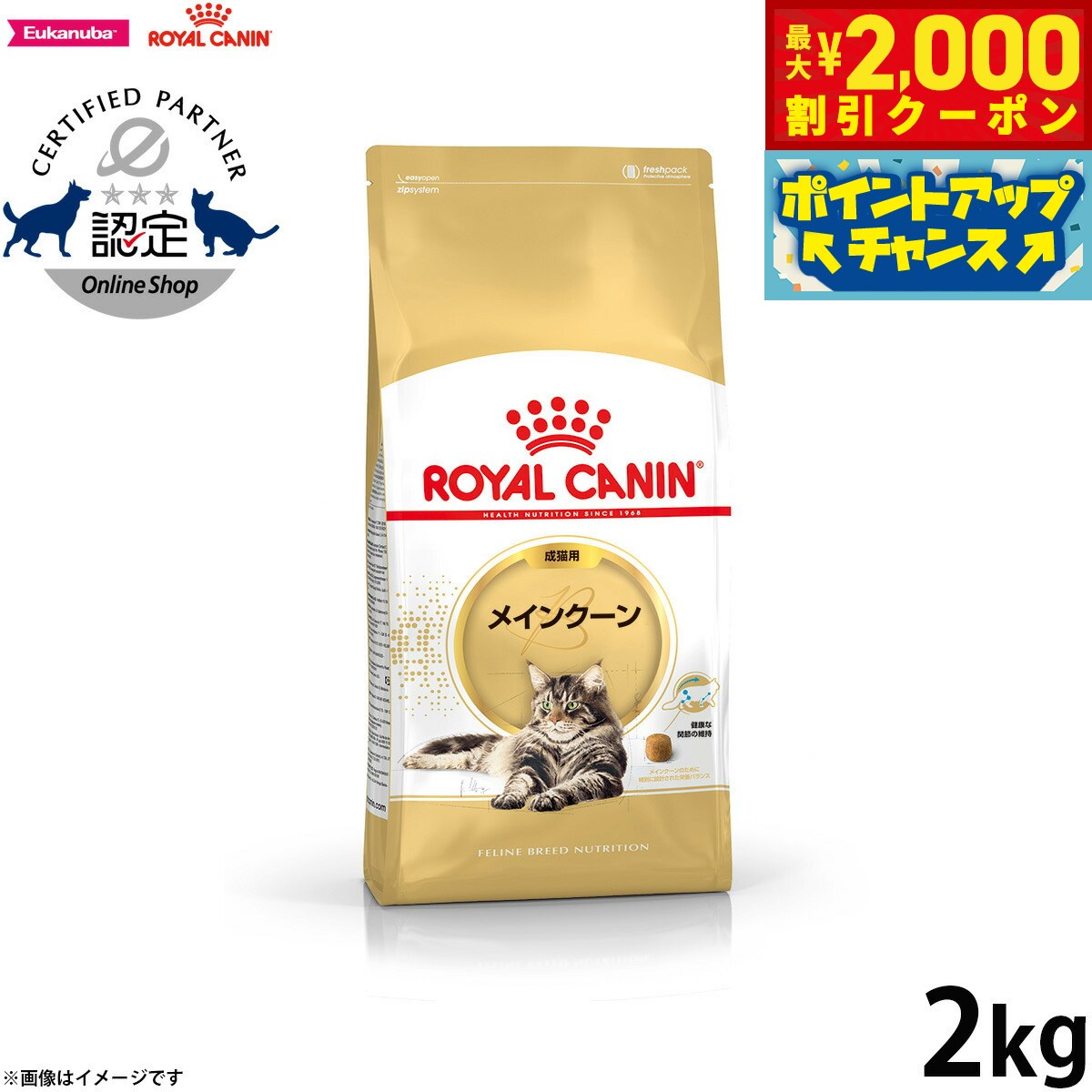 【2000円OFFクーポン！＆店内ポイント最大55倍！11月20日！】ロイヤルカナン 猫 キャットフード フィー..