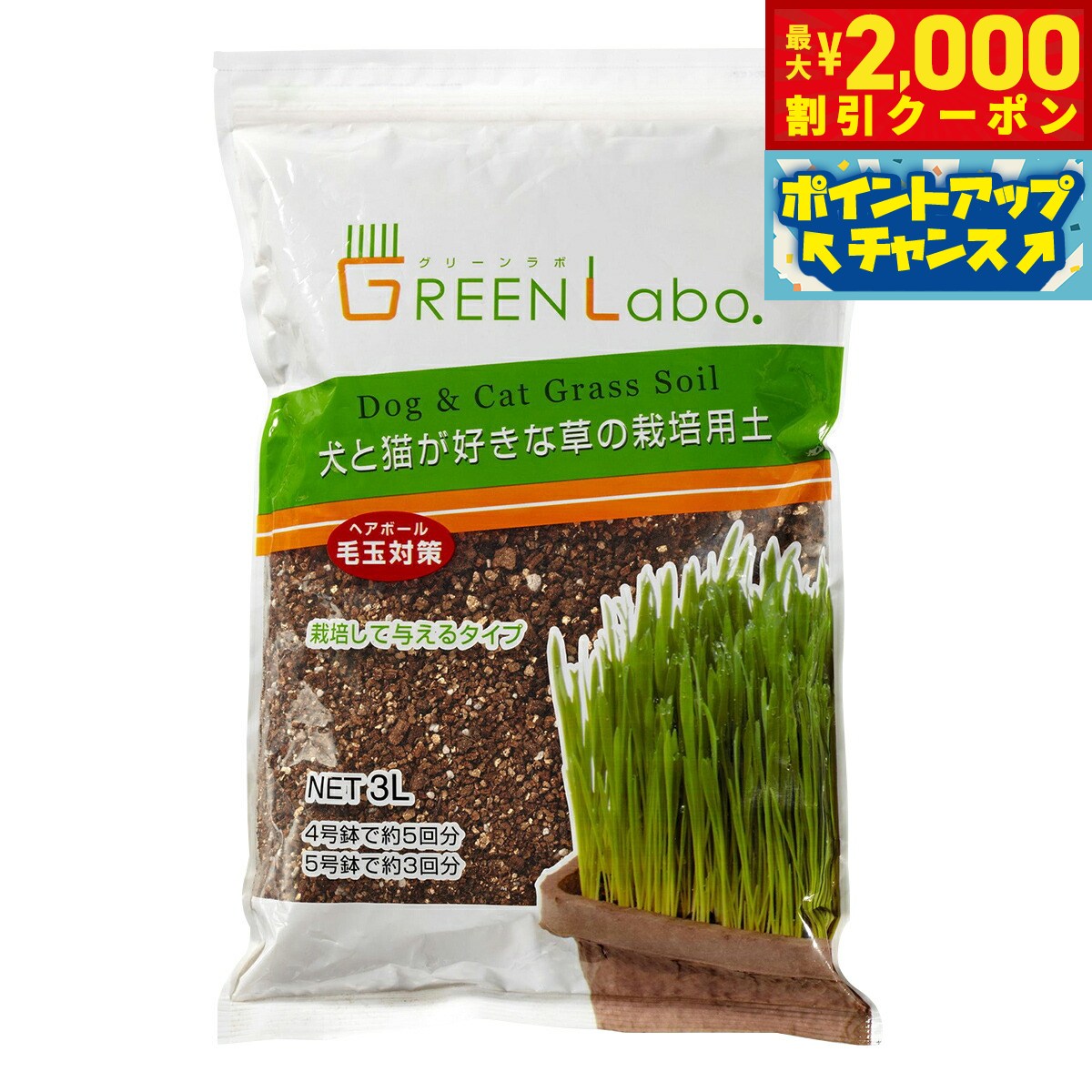 【2000円OFFクーポン！＆店内ポイント最大55倍！本日限定！】エイムクリエイツ GREEN Labo Dog ＆ Cat ..
