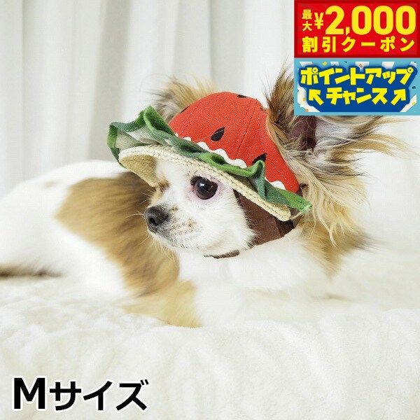 【2000円OFFクーポン！＆店内ポイント最大55倍！本日限定！】犬の帽子 ガーデンオブエデン すいかフリ..