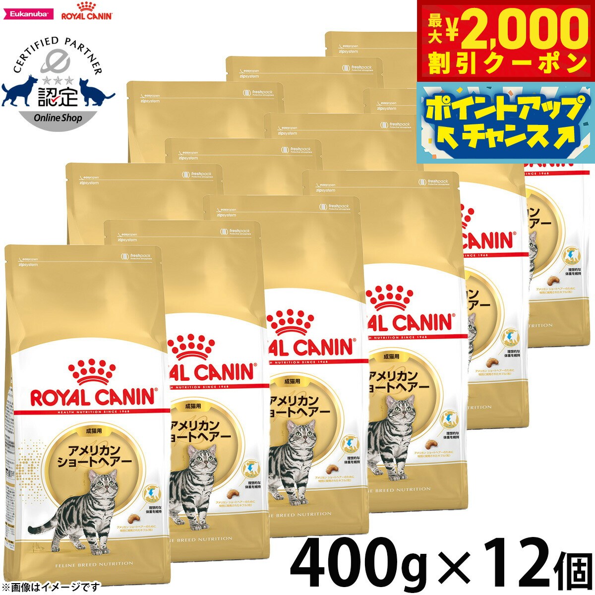【2000円OFFクーポン！＆店内ポイント最大55倍！11月20日！】ロイヤルカナン 猫 キャットフード フィーラインブリードニュートリション アメリカンショートヘアー専用フード 成猫用 400g×12袋 正規品