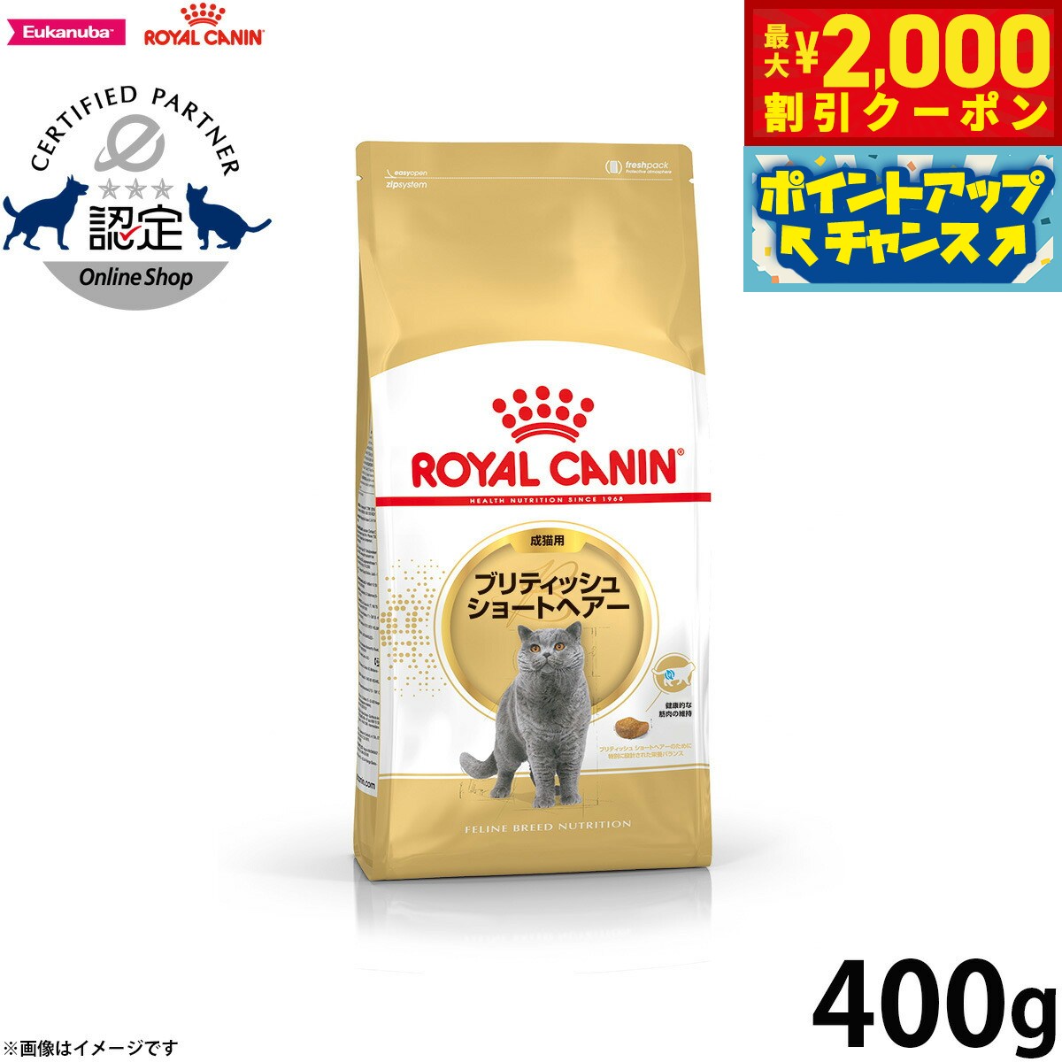 【2000円OFFクーポン！＆店内ポイント最大55倍！11月20日！】ロイヤルカナン 猫 キャットフード フィー..