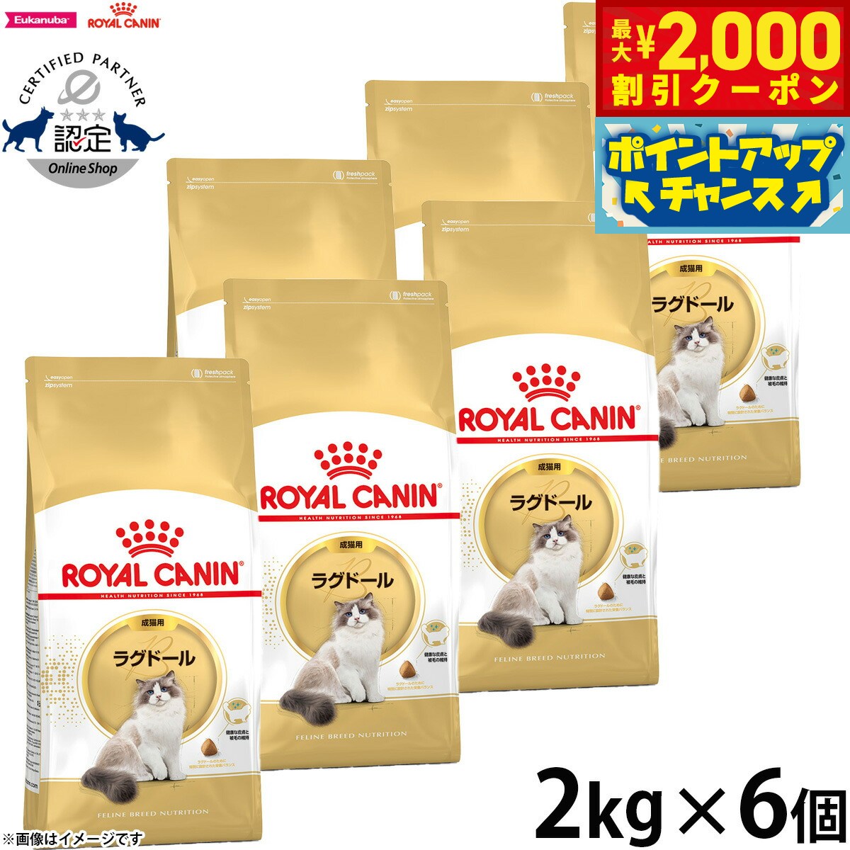【2000円OFFクーポン！＆店内ポイント最大55倍！11月20日！】ロイヤルカナン 猫 キャットフード フィー..