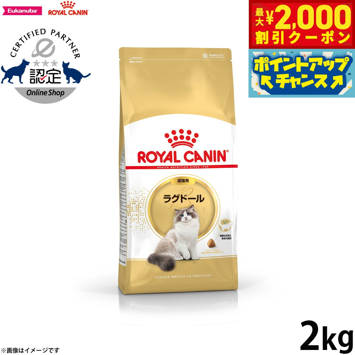【2000円OFFクーポン！＆店内ポイント最大55倍！11月20日！】ロイヤルカナン 猫 キャットフード フィー..