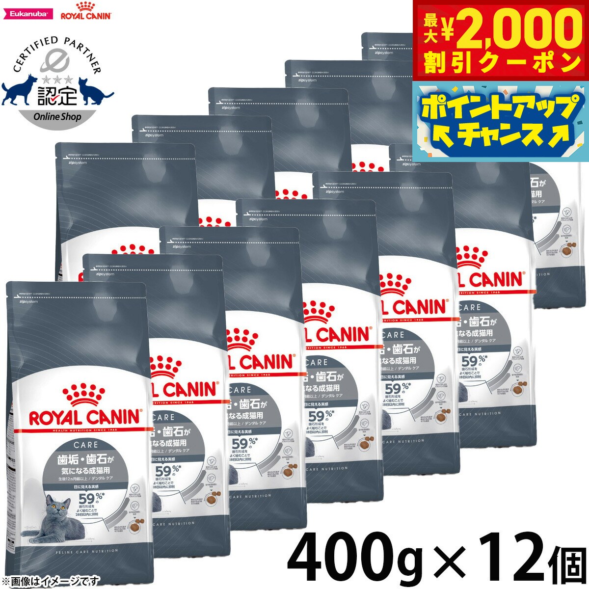 【2000円OFFクーポン！＆店内ポイント最大55倍！本日限定！】ロイヤルカナン 猫 キャットフード フィーラインケアニュートリション デンタルケア 400g×12袋 正規品 歯垢・歯石が気になる猫専用フード 成猫用