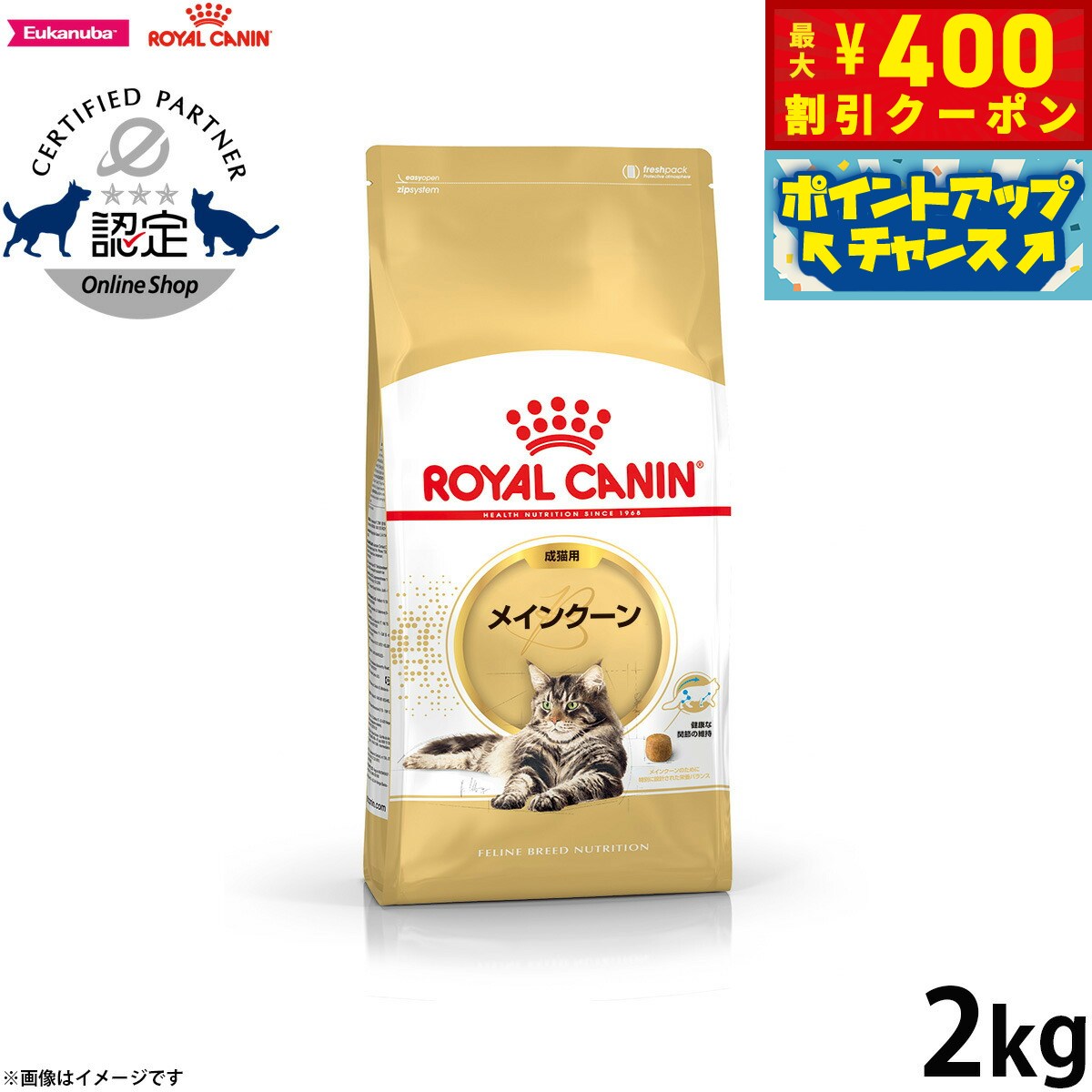 2000OFFݥ󡪡ŹݥȺ56ܡѡSALEۥ륫ʥ ǭ åȥա ե饤֥꡼ɥ˥塼ȥꥷ ᥤ󥯡...