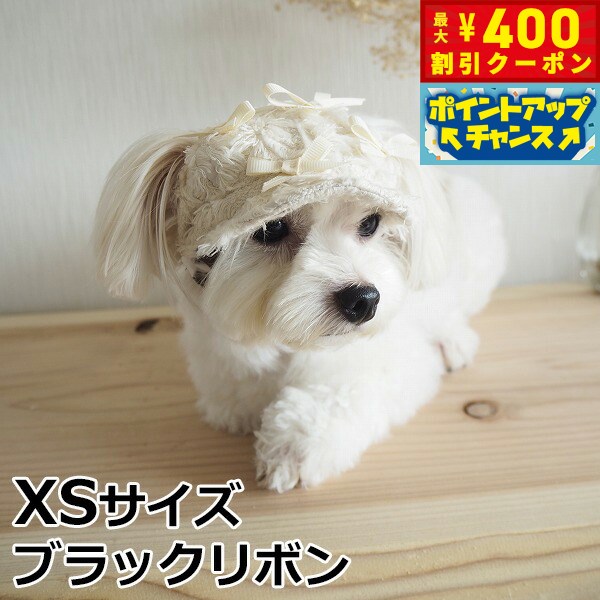 楽天コジコジ【400円OFFクーポン！＆店内ポイント最大43倍！本日限定！】犬の帽子 ガーデンオブエデン リボンキャスケット XS ブラックリボン おしゃれ 可愛い 小型犬