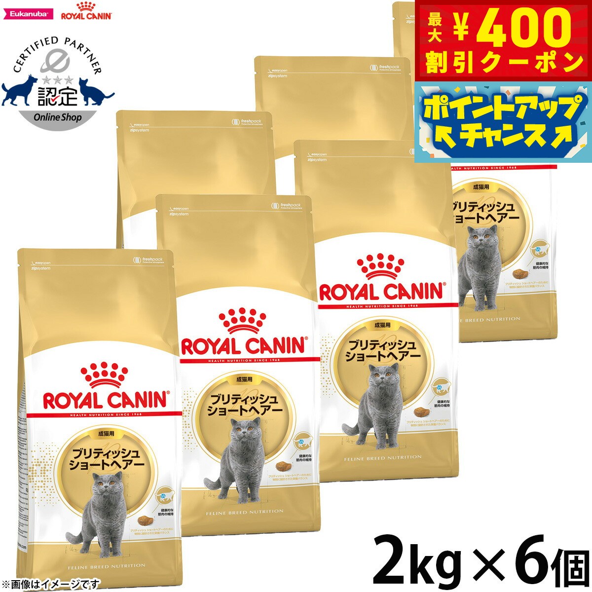 【400円OFFクーポン！＆店内ポイント最大46倍！12月1日！】ロイヤルカナン 猫 キャットフード フィーラインブリードニュートリション ブリティッシュ ショートヘアー専用フード 成猫用 2kg×6個 正規品