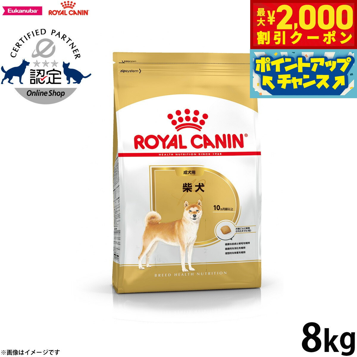 楽天コジコジ【最大2000円OFFクーポン！＆店内ポイント最大62倍！スーパーSALE！】ロイヤルカナン 犬 ドッグフード ブリードヘルスニュートリション 柴犬専用フード 成犬用 8kg 正規品