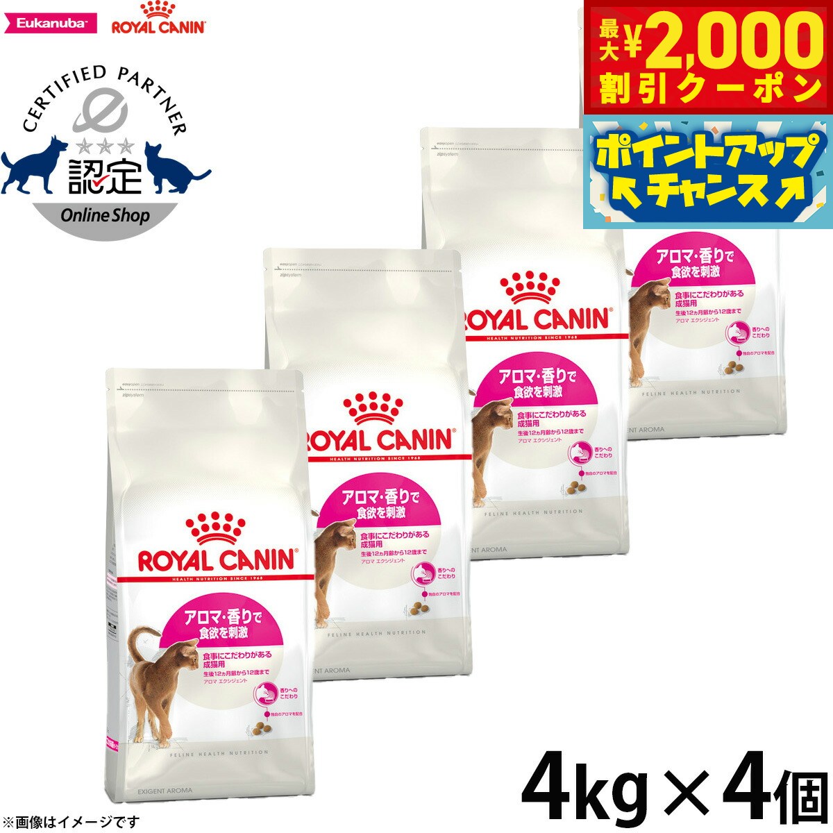 ロイヤルカナン猫キャットフードフィ...