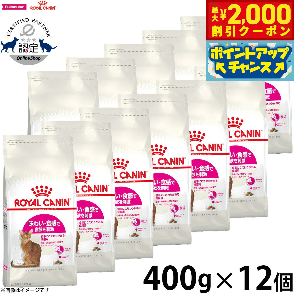 【2000円OFFクーポン！＆店内ポイント最大62倍！スーパーSALE！】ロイヤルカナン 猫 キャッ ...