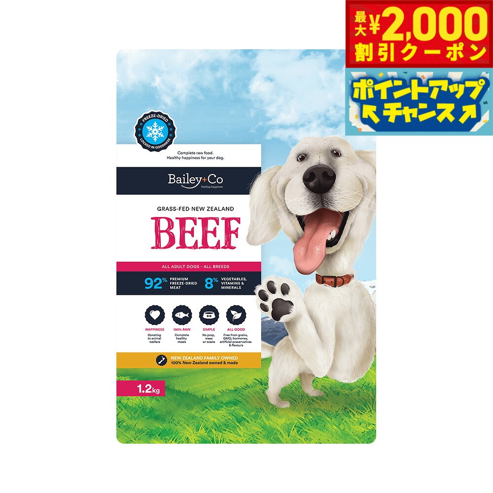 �ں���2000��OFF�����ݥ󡪡�Ź��ݥ���Ⱥ���54�ܡ��������ꡪ�ۥ٥��꡼���� Bailey��Co �ɥå��ա��� �ե꡼���ɥ饤 ����ץ꡼�� �ӡ��� ̵ź...