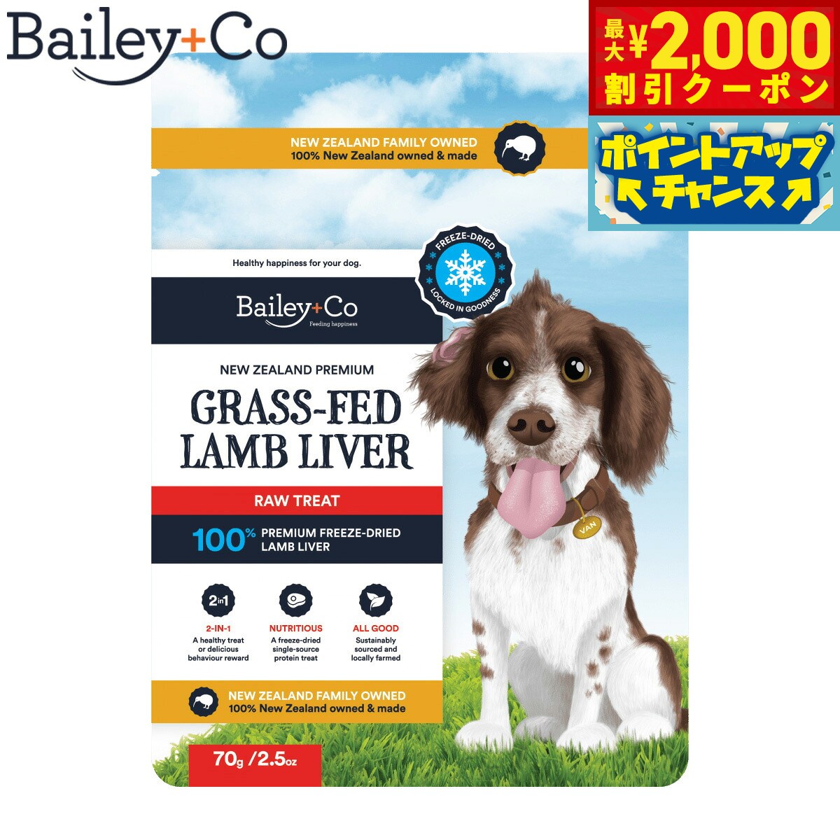 �ں���2000��OFF�����ݥ󡪡�Ź��ݥ���Ⱥ���54�ܡ��������ꡪ�ۥ٥��꡼���� Bailey��Co �ɥå��ȥ꡼�� �ե꡼���ɥ饤 ����������С� ̵ź...