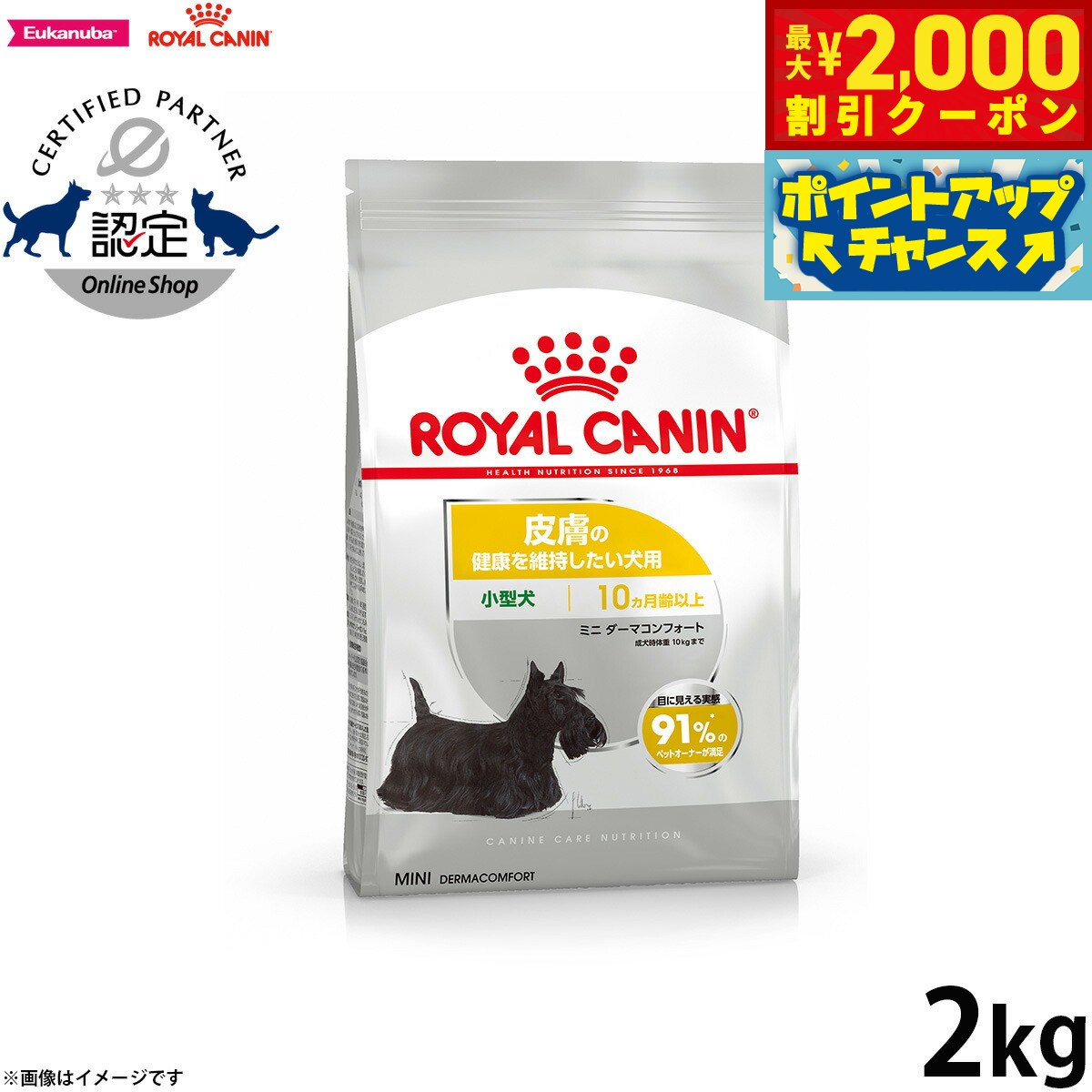 楽天市場】ロイヤル カナン ミニ ダーマ コンフォートの通販