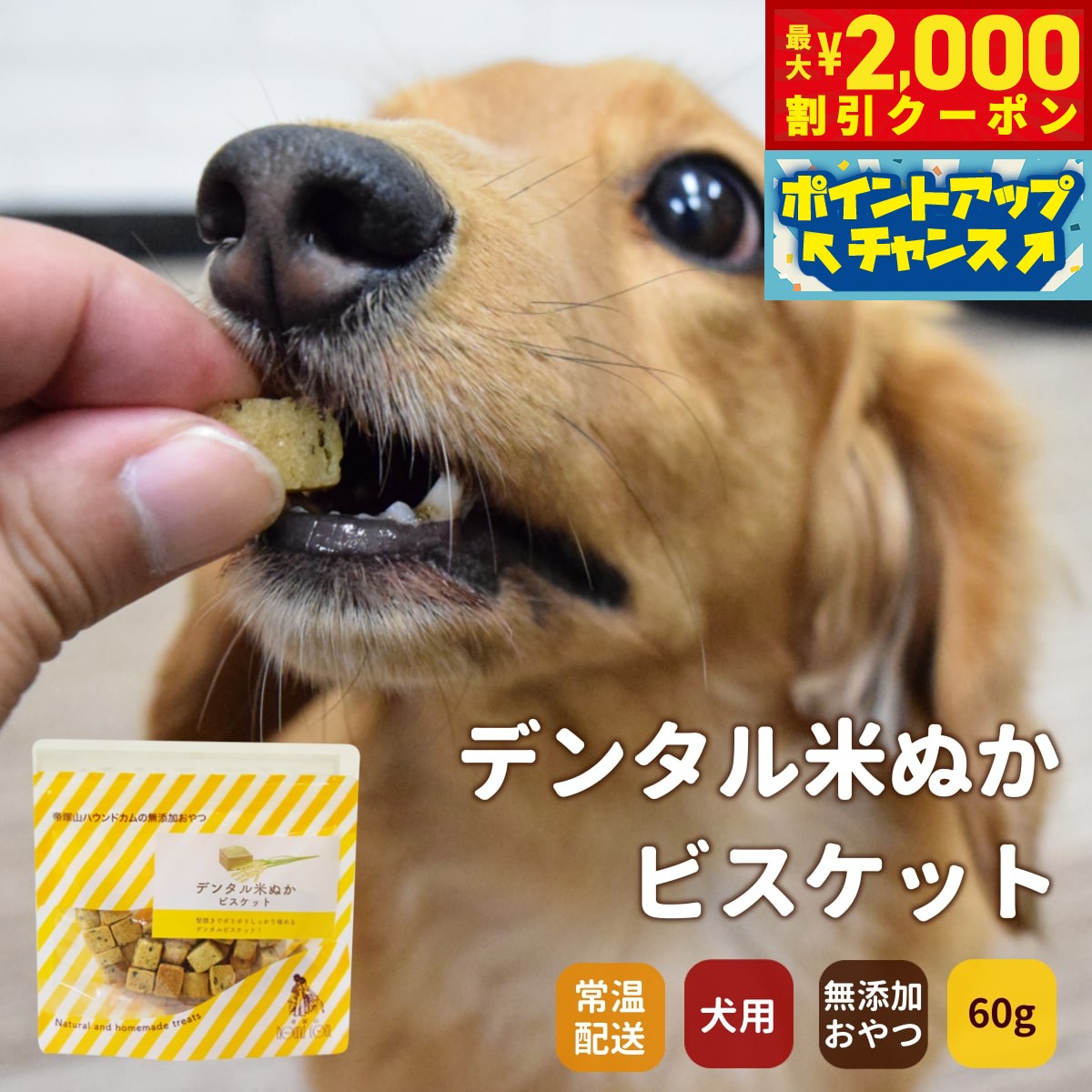 【最大2000円OFFクーポン！＆店内ポイント最大54倍！本日限定！】GLORY DOG＆EARTH デンタル米ぬかビスケット 60g