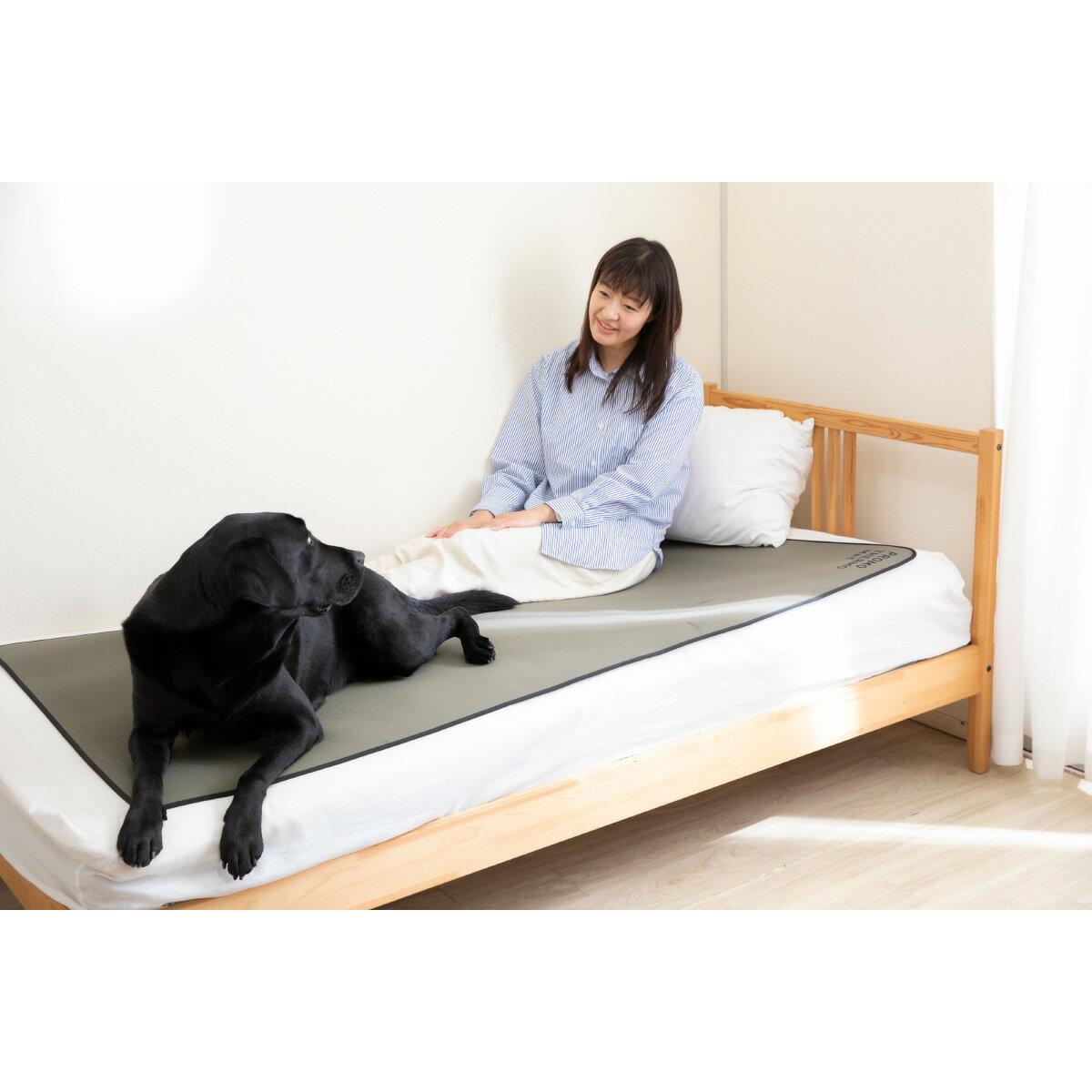 �ں���2000��OFF�����ݥ󡪡�Ź��ݥ���Ⱥ���57�ܡ��ޥ饽����ꡪ��PROMO THERMO �ץ��⥵����ޥå� �֥�å����ꥫ �ڥå� F ���꡼�֥��꡼�������̵���� ���ֳ��� ̤�� ��