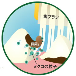 シグワンゼオライトハミガキ21g【歯磨き/デンタルケア/犬用品/猫用品/ペット・ペットグッズ/ペット用品】