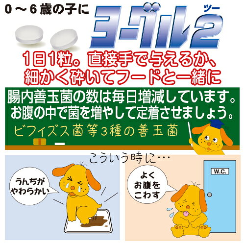 【8/10限定！2000円OFFクーポン＆抽選で最大1万ポイントバック】トーラス サプリメント ヨーグル2 善玉菌 30g koji-10044413 コジコジ サンプル画像3