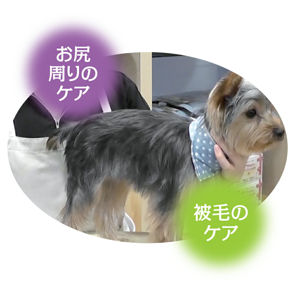 �ں���2000��OFF�����ݥ󡪡�Ź��ݥ���Ⱥ���58�ܡ��ޥ饽����ꡪ�ۥȡ��饹 �ޤ뤴�Ȥ������쥹�ץ졼 300ml