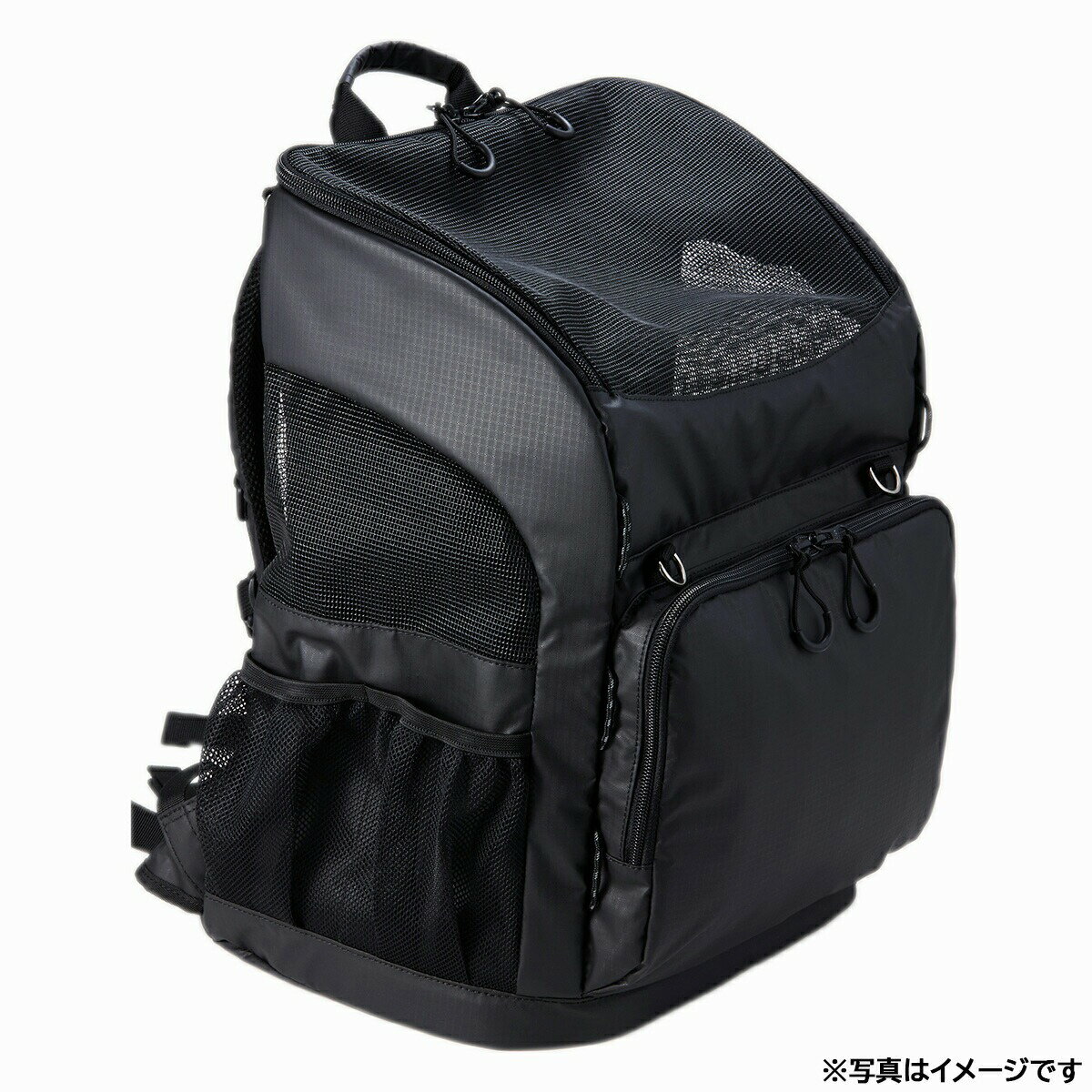 �ں���2000��OFF�����ݥ󡪡�Ź��ݥ���Ⱥ���60�ܡ��������ꡪ�ۥ����Х��� �ե��� �ڥå� 3�������Хå��ѥå������? �쥮��顼 �֥�å� �� ǭ �ڥåȥ���꡼�å� ���å� AD9071