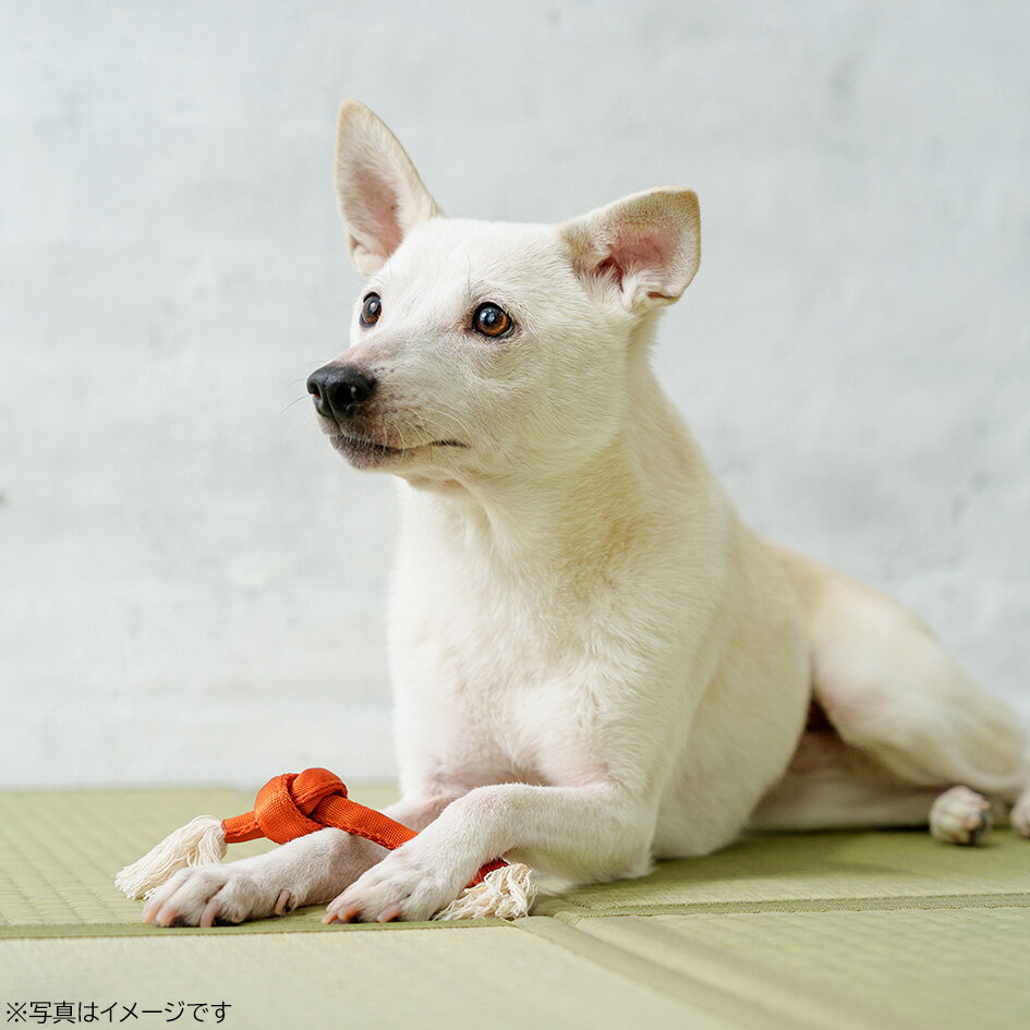 サンプル画像2