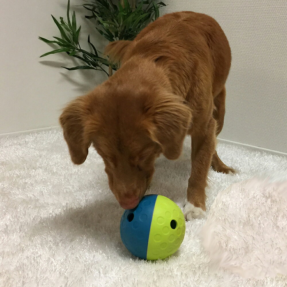 販売店掲載の使用写真。犬が鼻先をトリーツタンブルSへ近づけている