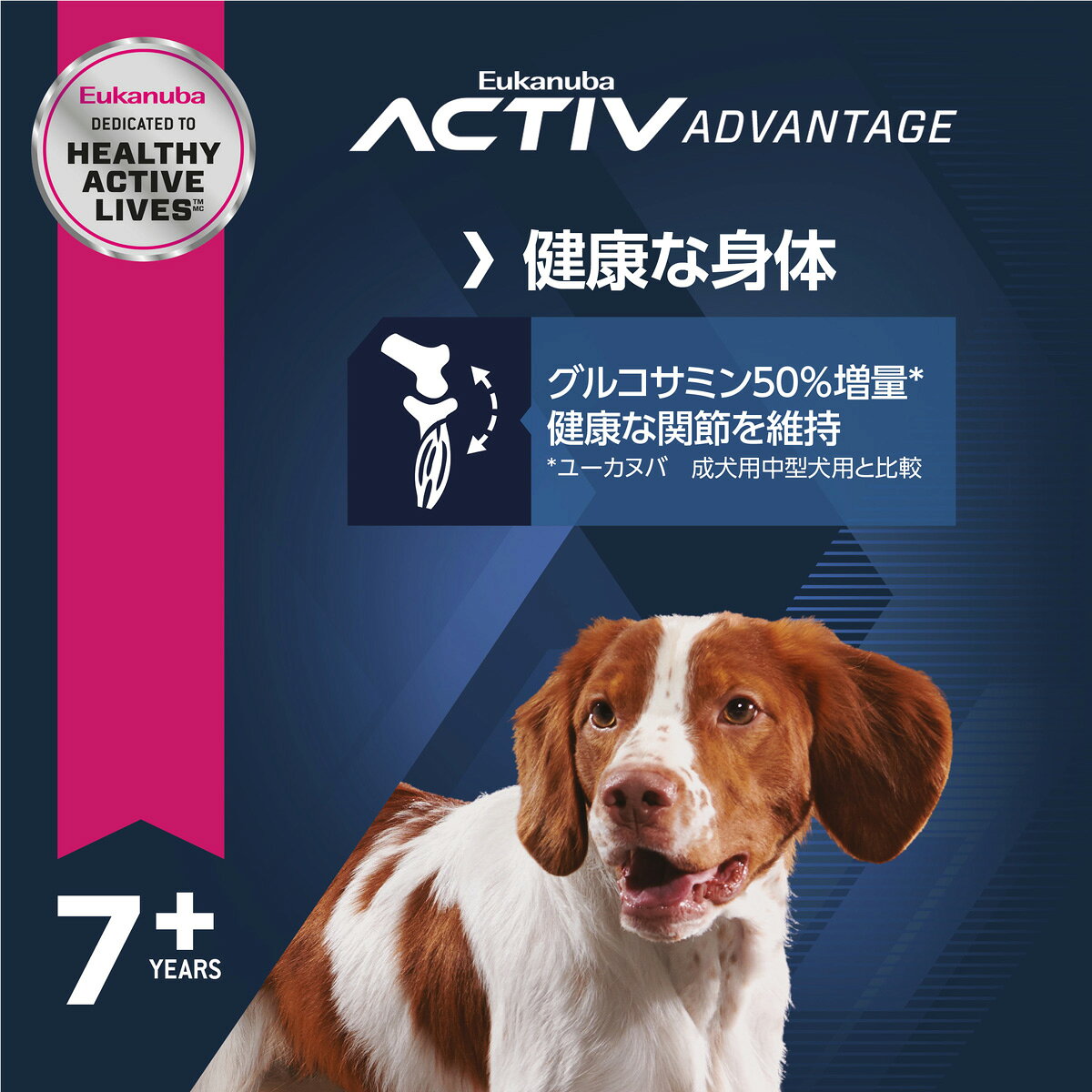 【店内ポイント最大41倍！本日限定！】ユーカヌバ Eukanuba ドッグフード ミディアム シニア 7.5kg 中型犬 シニア犬用 koji-10029165 コジコジ サンプル画像2