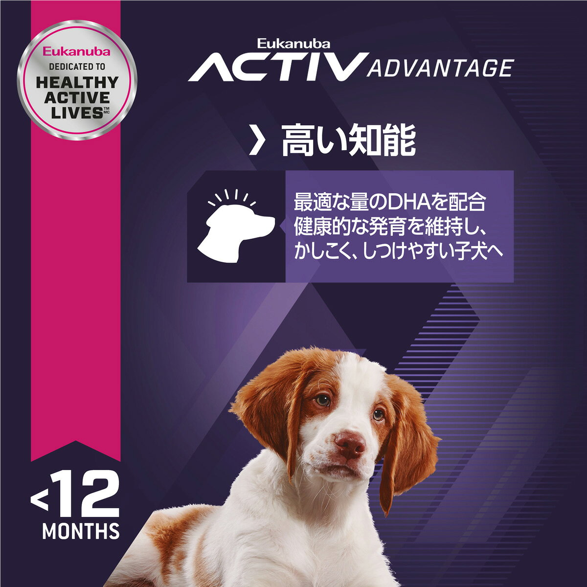 【店内ポイント最大41倍！本日限定！】ユーカヌバ Eukanuba ドッグフード パピー ラム＆ライス 800g シニア犬用 全犬種用 koji-10029240 コジコジ サンプル画像2