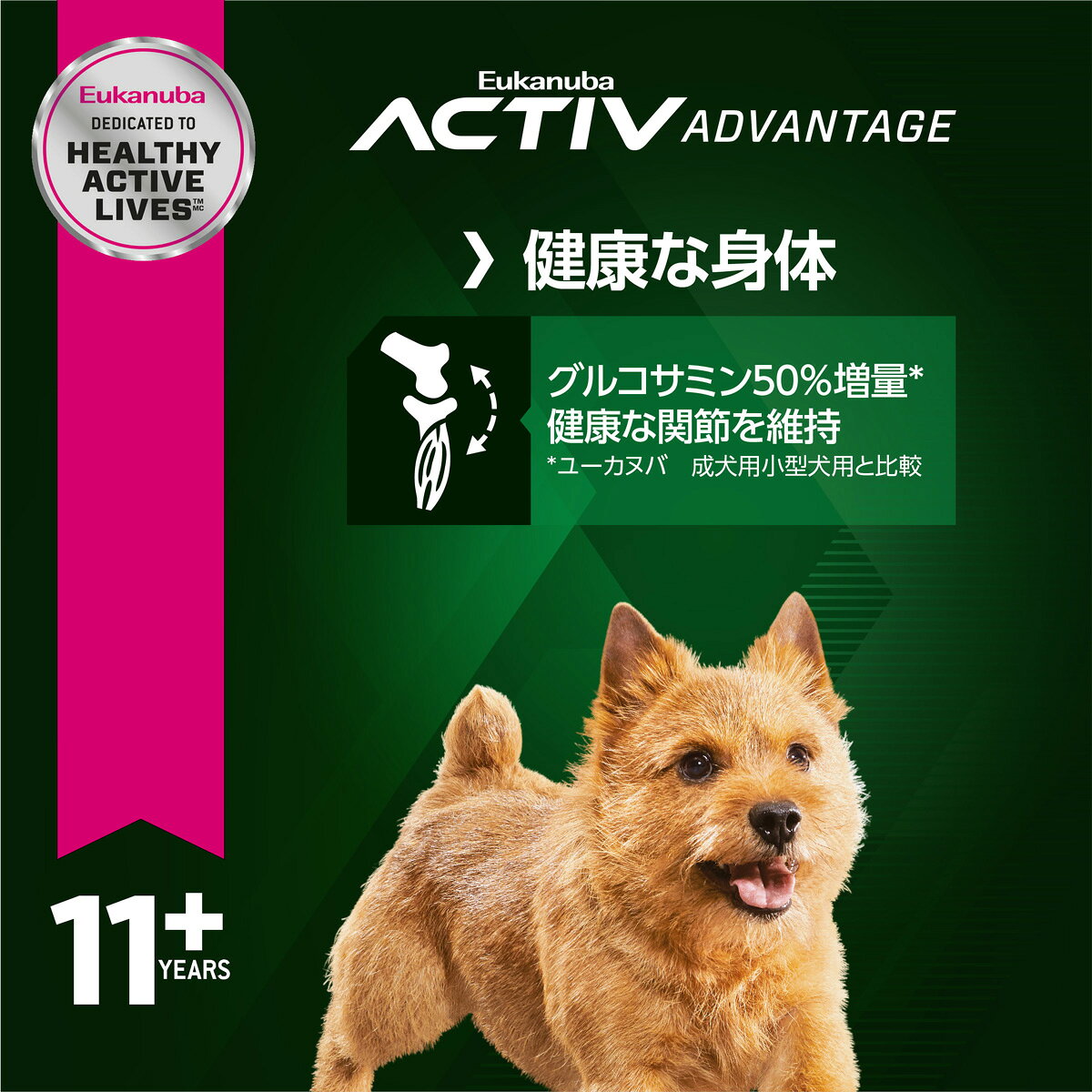 【店内ポイント最大41倍！本日限定！】ユーカヌバ Eukanuba ドッグフード スモール スーパーシニア 7.5kg 犬 ドライフード 老齢犬用 小型犬 koji-10031690 コジコジ サンプル画像2