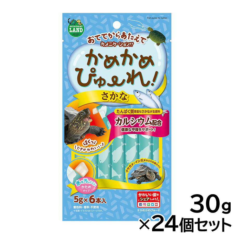 【店内ポイント最大42倍！1月18日！】マルカン かめかめぴゅーれ さかな 5g×6本入×24個セット