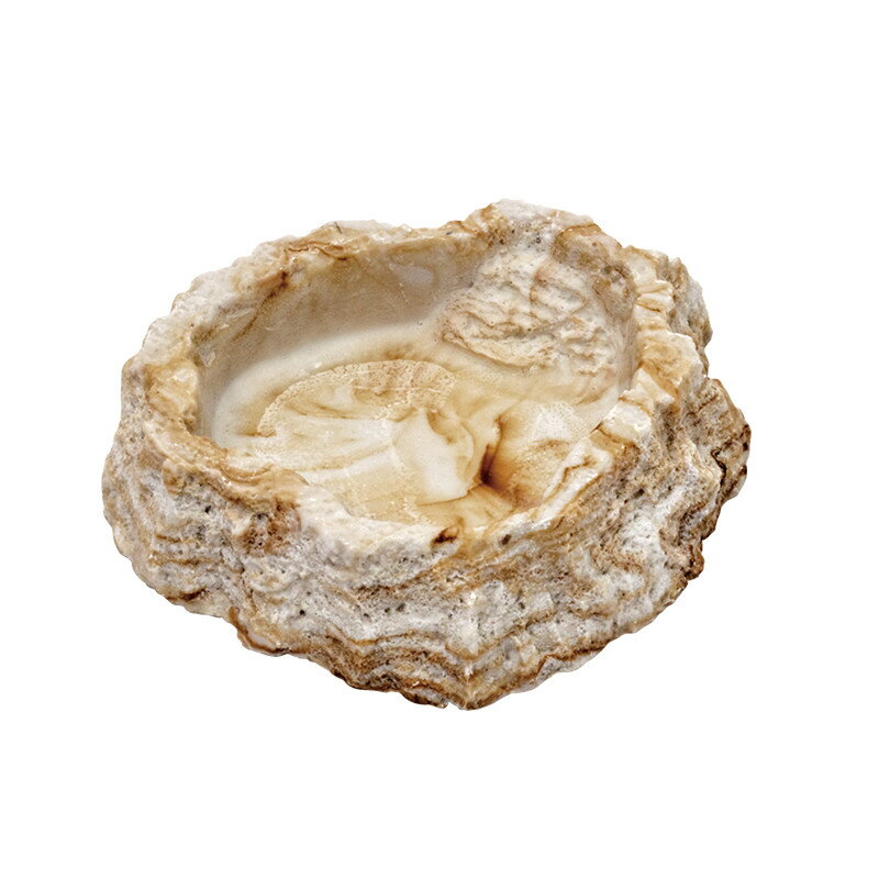 【店内ポイント最大43倍！本日限定！】スドー レプティボウル2 SF