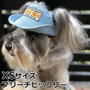 【店内ポイント最大42倍!本日限定!】犬の帽子 ガーデンオブエデン D&Hテンガロンハット XS ブリーチヒッコリー おしゃれ 可愛い 小型犬