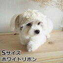 【店内ポイント最大42倍!本日限定!】犬の帽子 ガーデンオブエデン リボンキャスケット S ホワイトリボン おしゃれ 可愛い 小型犬