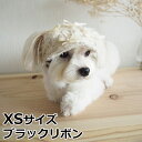 【店内ポイント最大43倍!本日限定!】犬の帽子 ガーデンオブエデン リボンキャスケット XS ブラックリボン おしゃれ 可愛い 小型犬