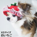 【店内ポイント最大43倍!本日限定!】犬の帽子 ガーデンオブエデン いちごフリルハット XSサイズ 白いちご